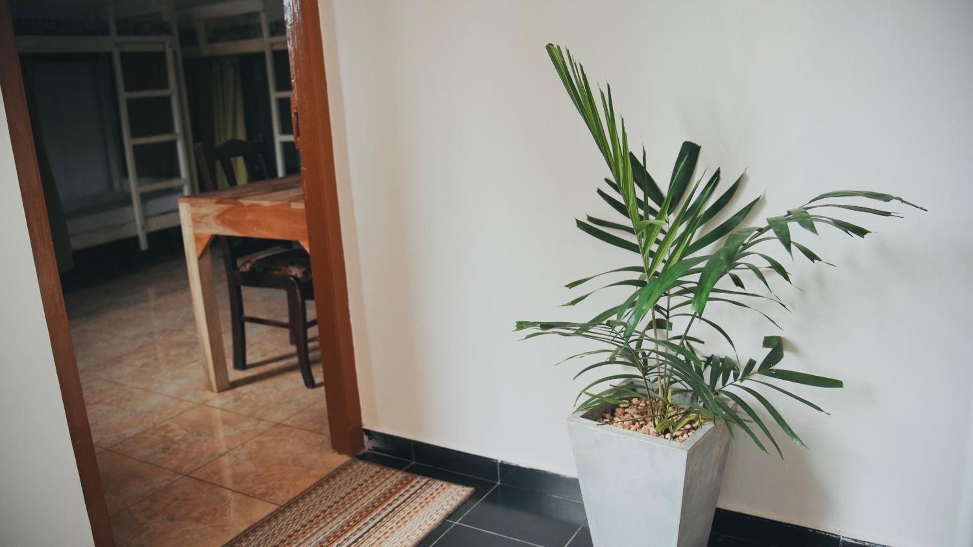 فندق فيليغامافي  Dreamy Surf House المظهر الخارجي الصورة