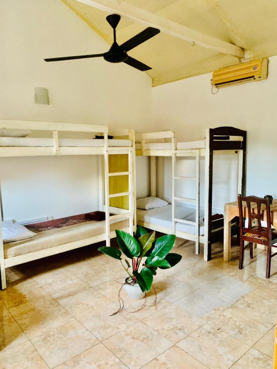 فندق فيليغامافي  Dreamy Surf House المظهر الخارجي الصورة