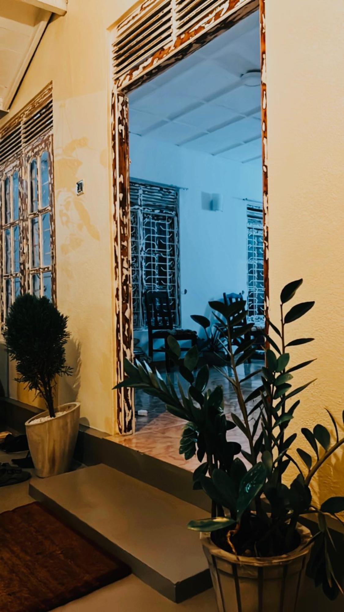 فندق فيليغامافي  Dreamy Surf House المظهر الخارجي الصورة